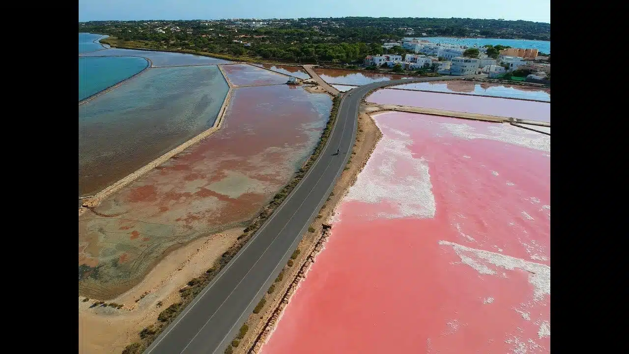 Alla scoperta del Parco Naturale Ses Salines tra Ibiza e Formentera - Parco Naturale Ses Salines - WoW Travel saline-formentera