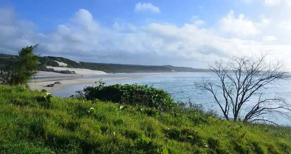 Isola-Fraser Isola-Fraser