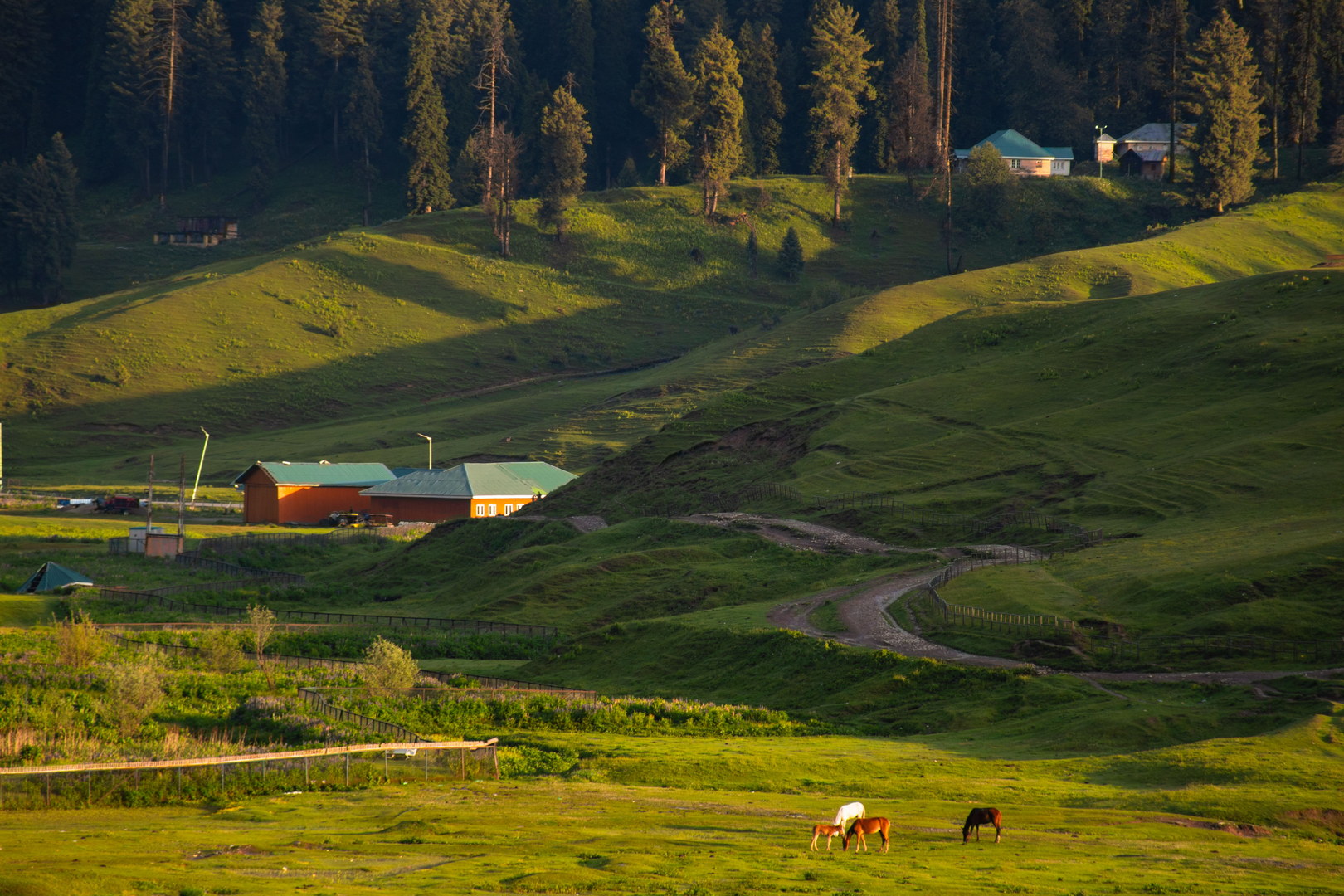 Quali sono i migliori hotel e sistemazioni a Gulmarg? - hotel e sistemazioni a Gulmarg - WoW Travel